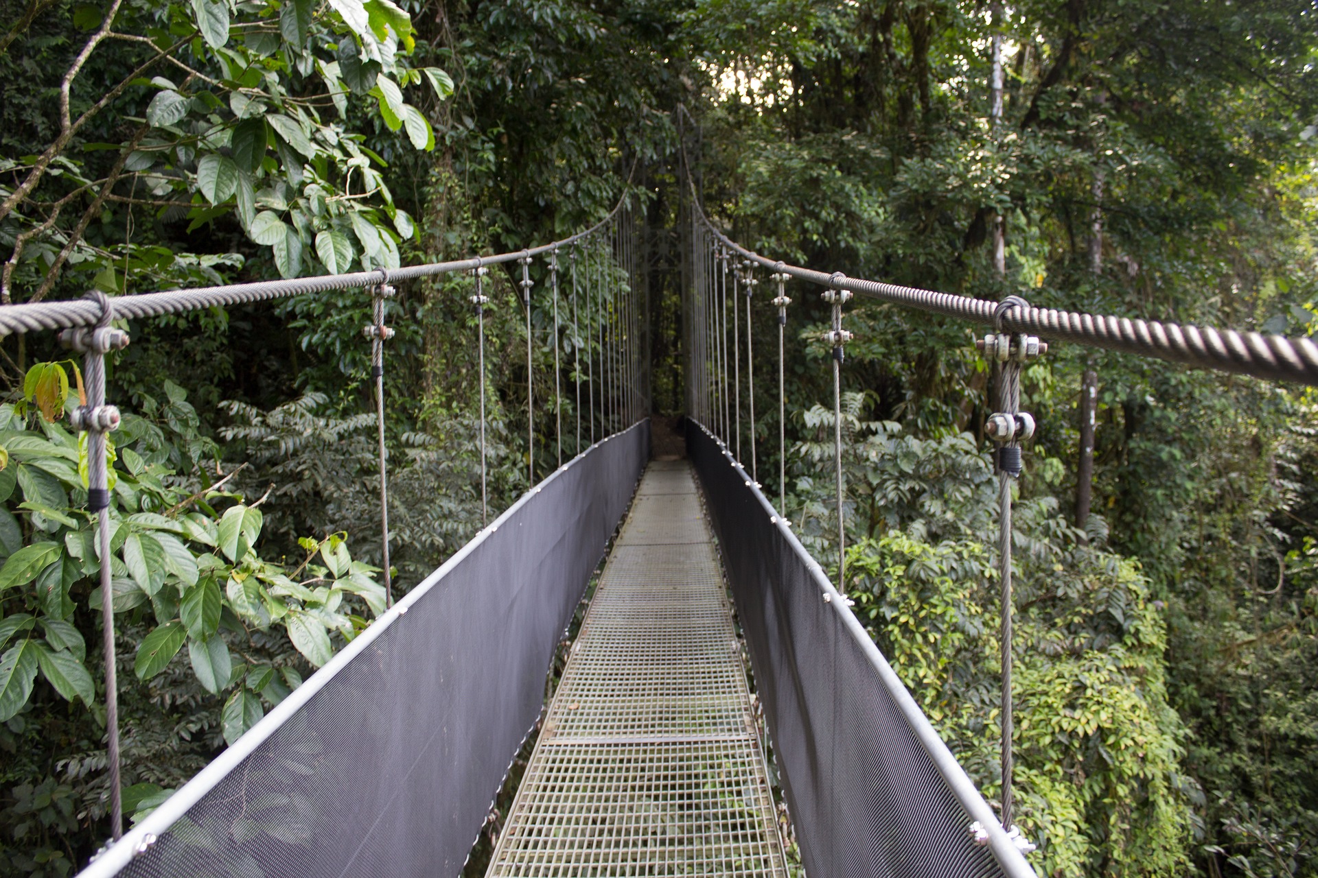 Costa Rica de Aventura con Manuel Antonio