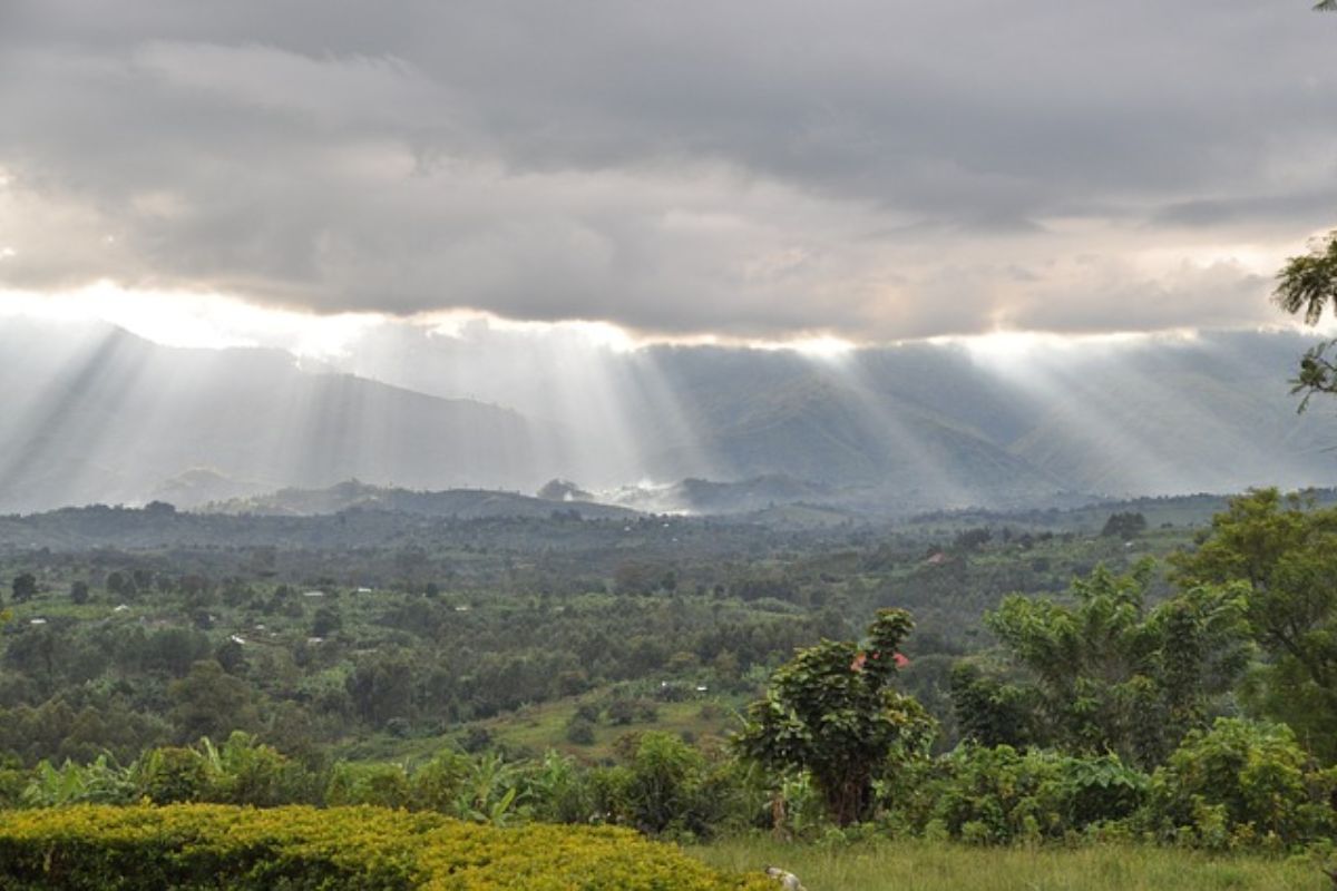 El Sueno de Uganda 3