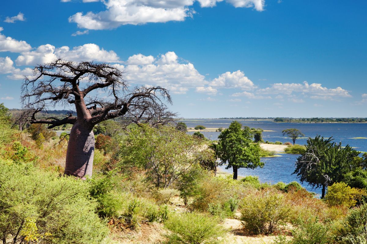 Esencias de Namibia con Cataratas Victoria y Chobe