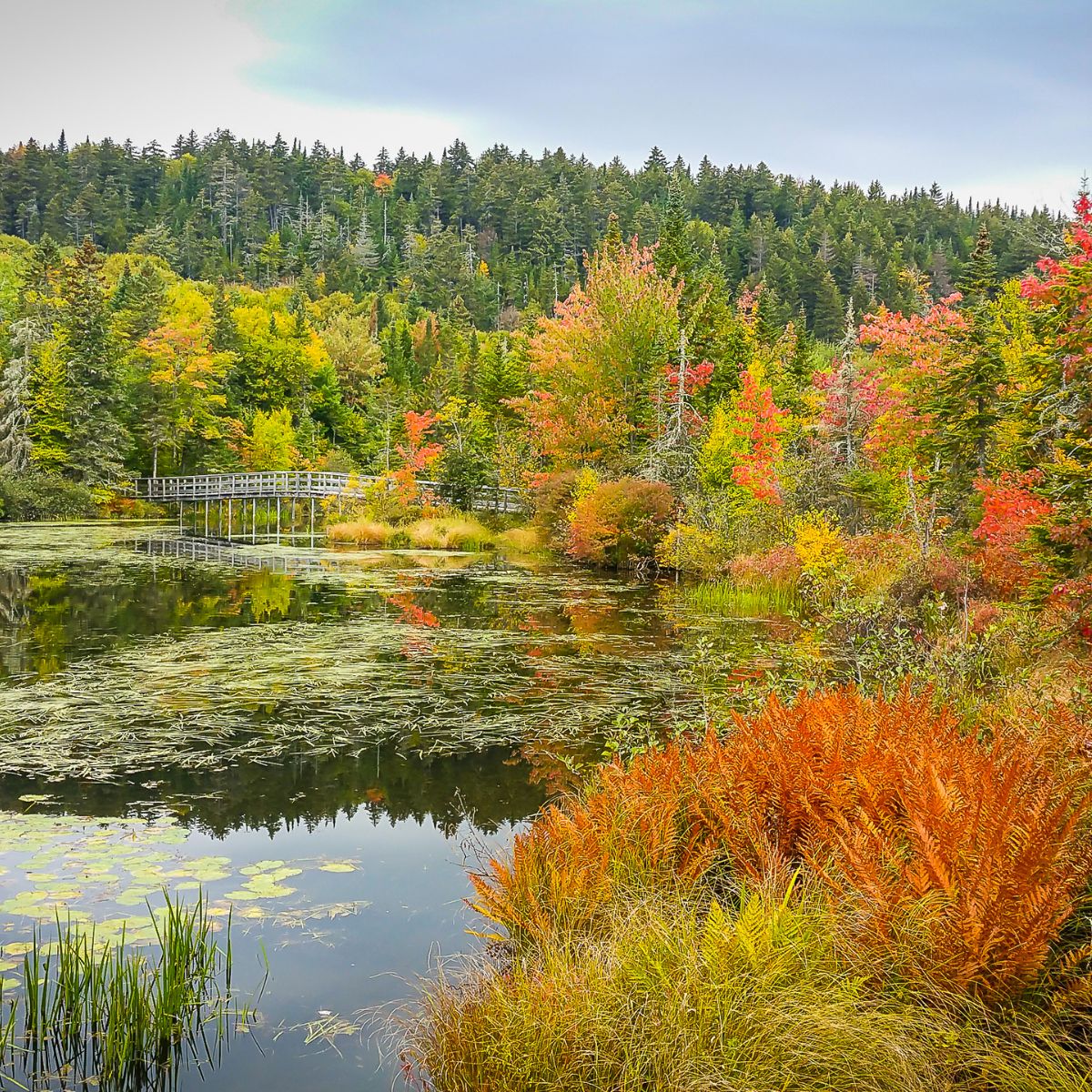 Lac Delage