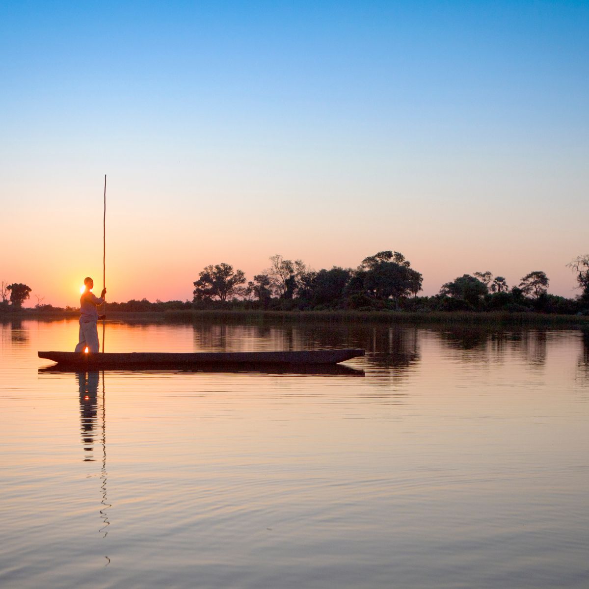 Maun
