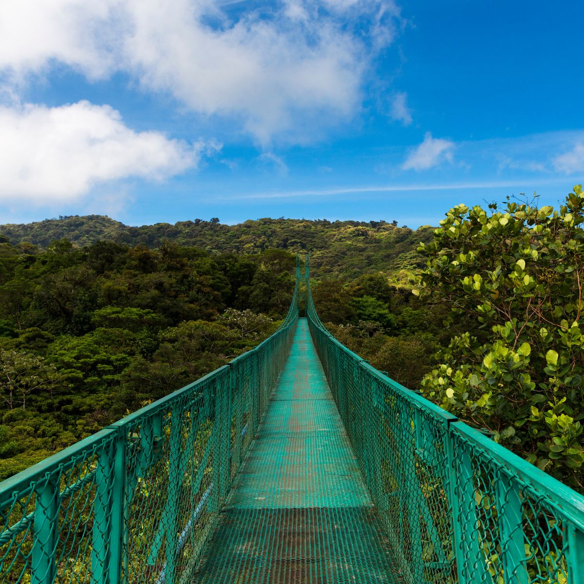 Monteverde