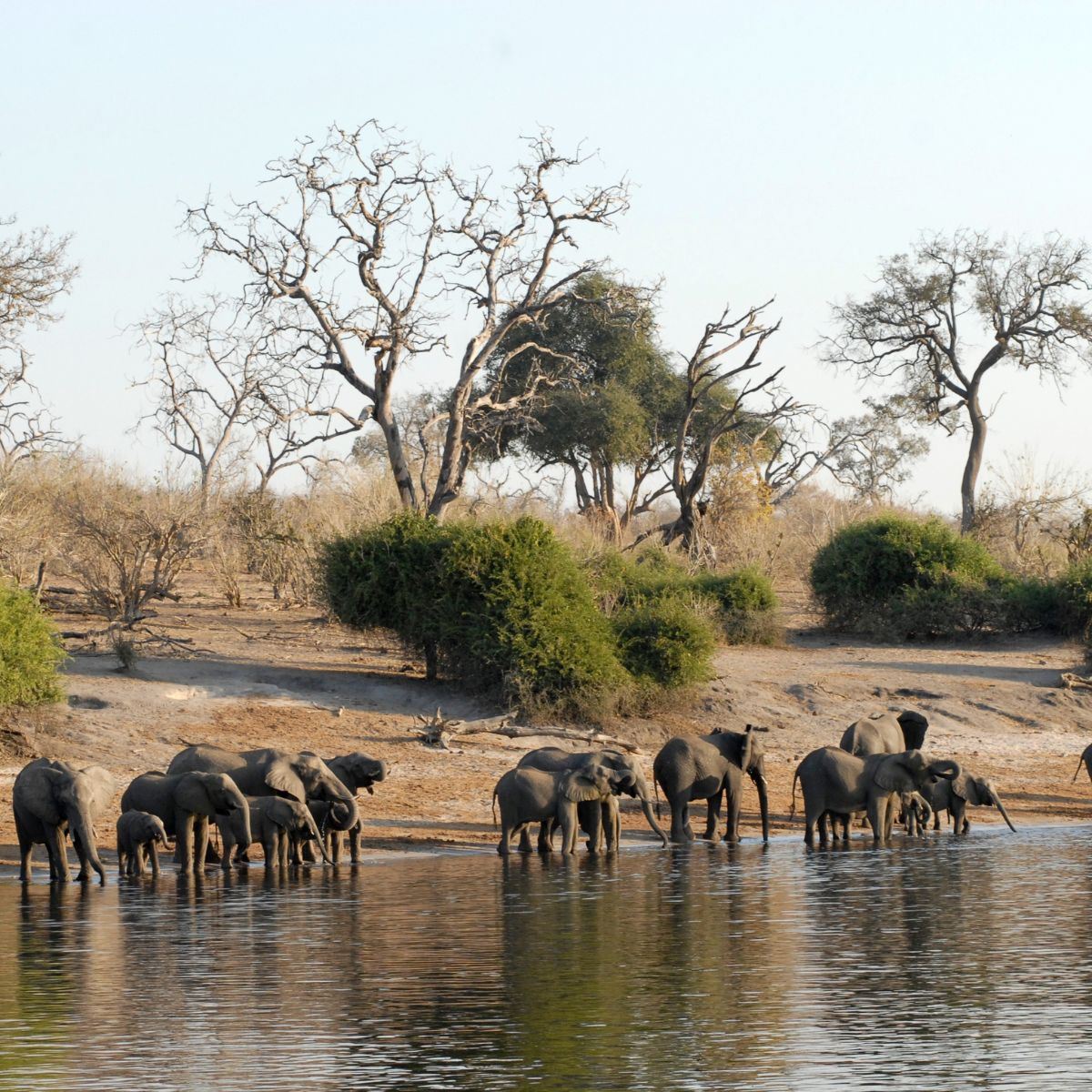Parque Nacional de Chobe