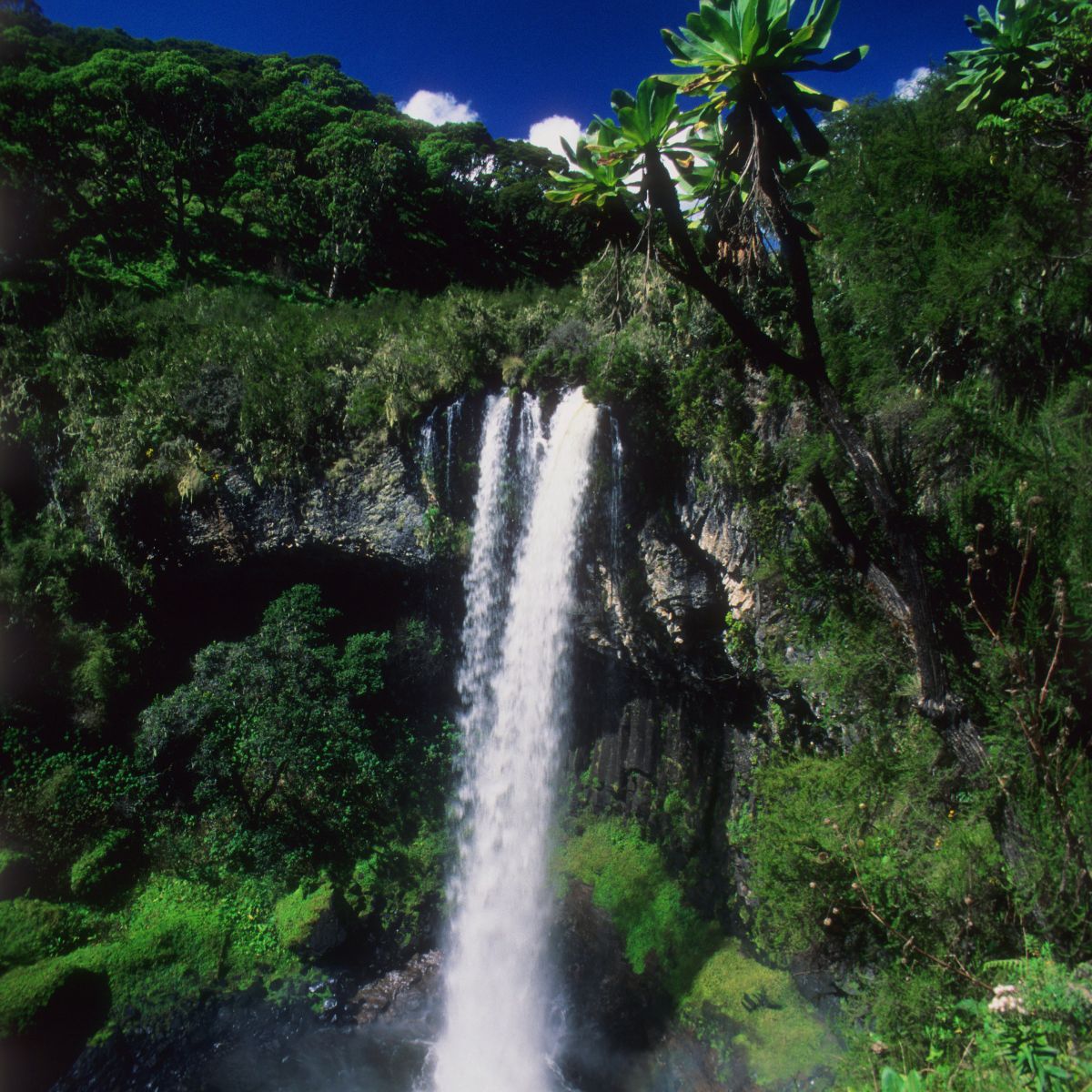 Parque Nacional de los Montes Aberdare