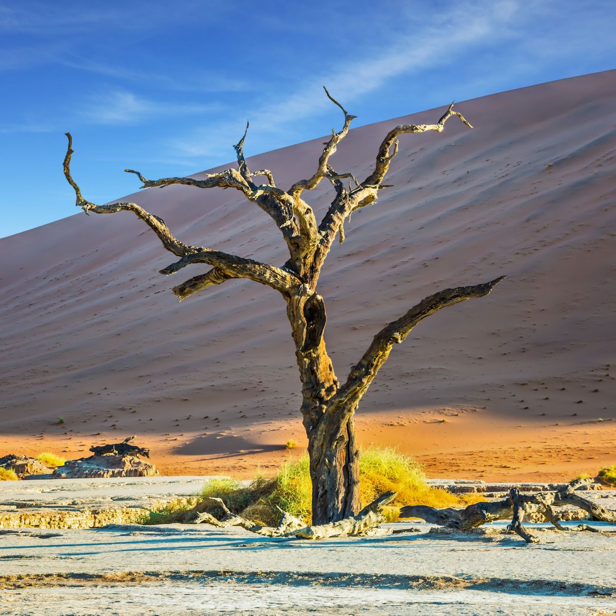 Parque nacional de Namib-Naukluft