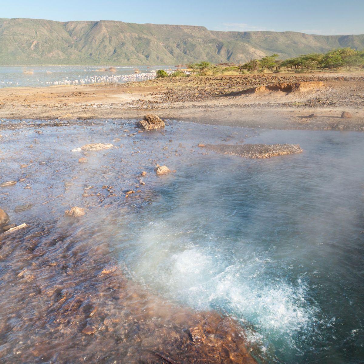 Reserva Nacional Lago Bogoria