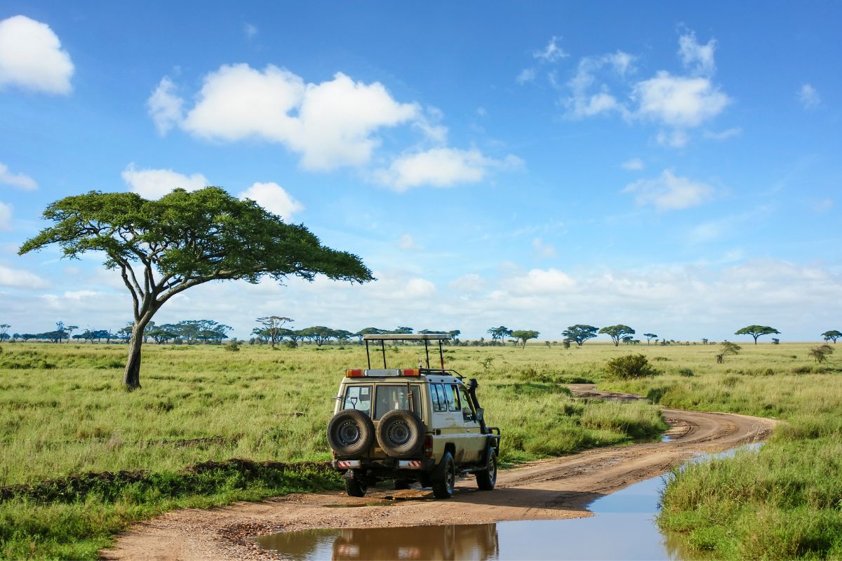 Safari Mbuga en Tanzania