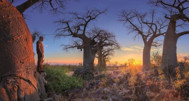Safari por Botswana