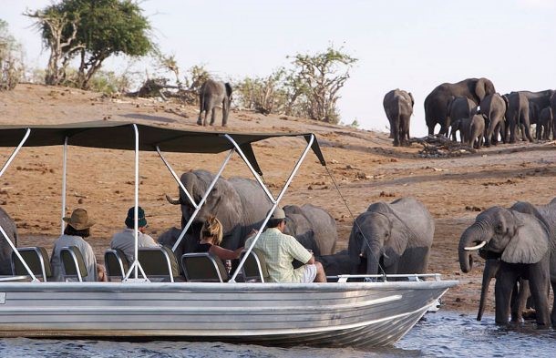 Safari por Botswana