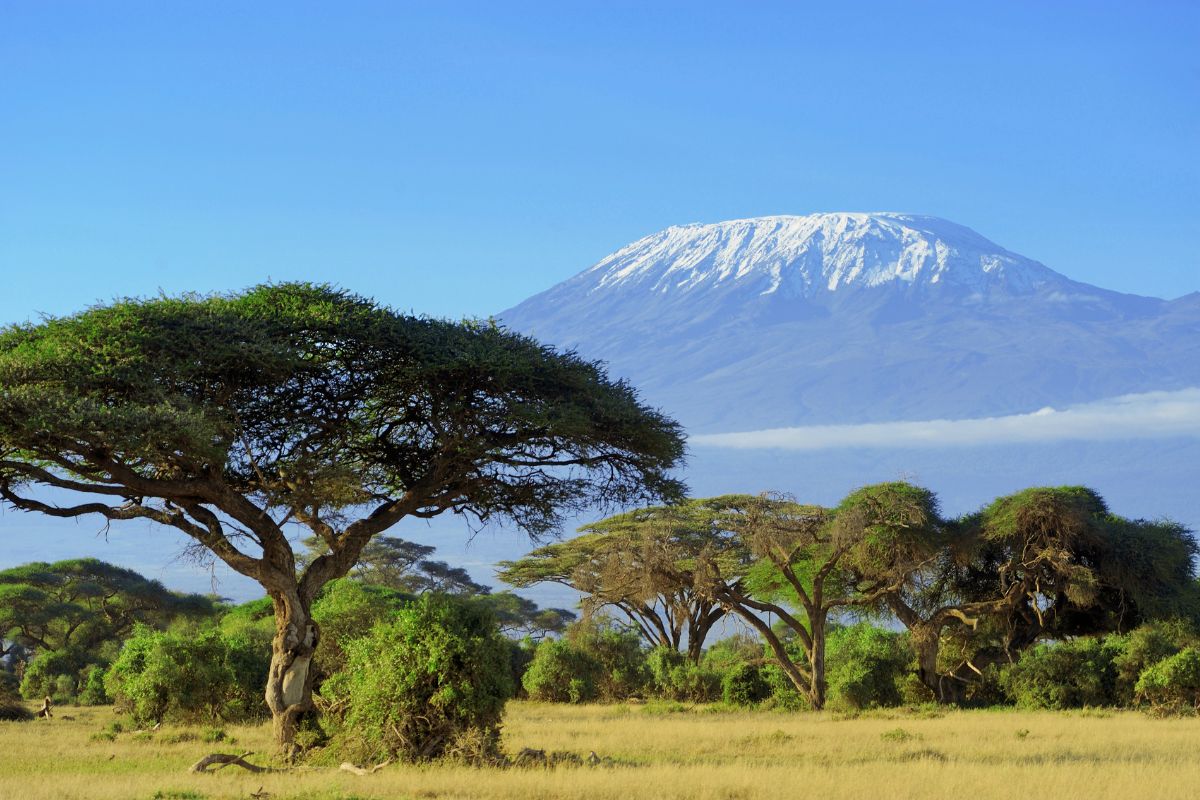 Safari privado Olduvai en Tanzania