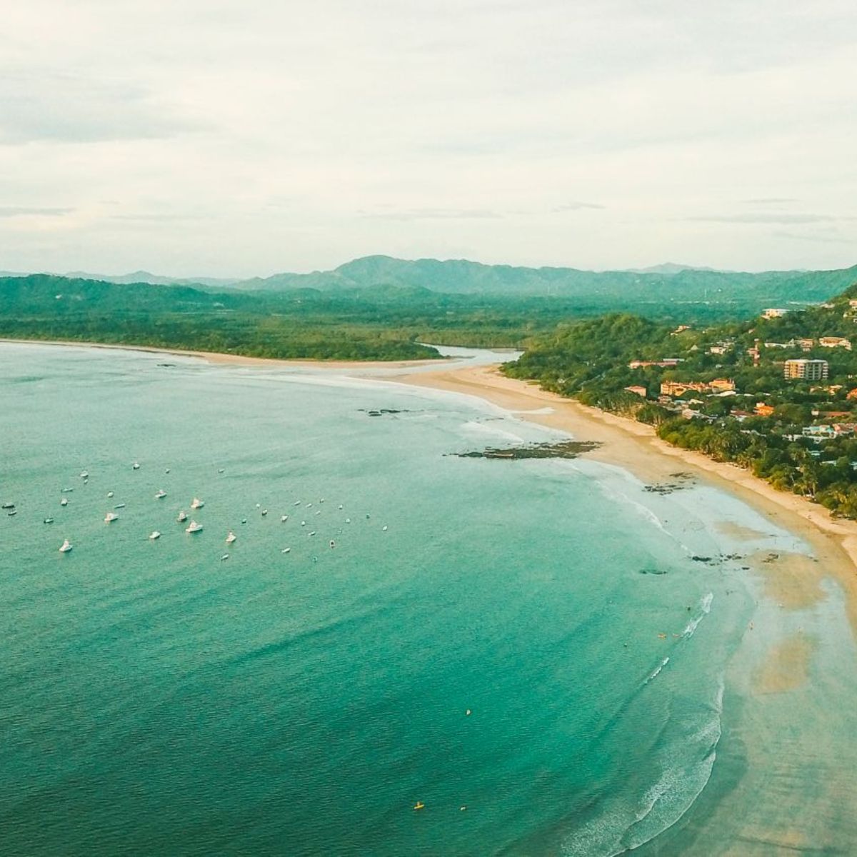 Tamarindo