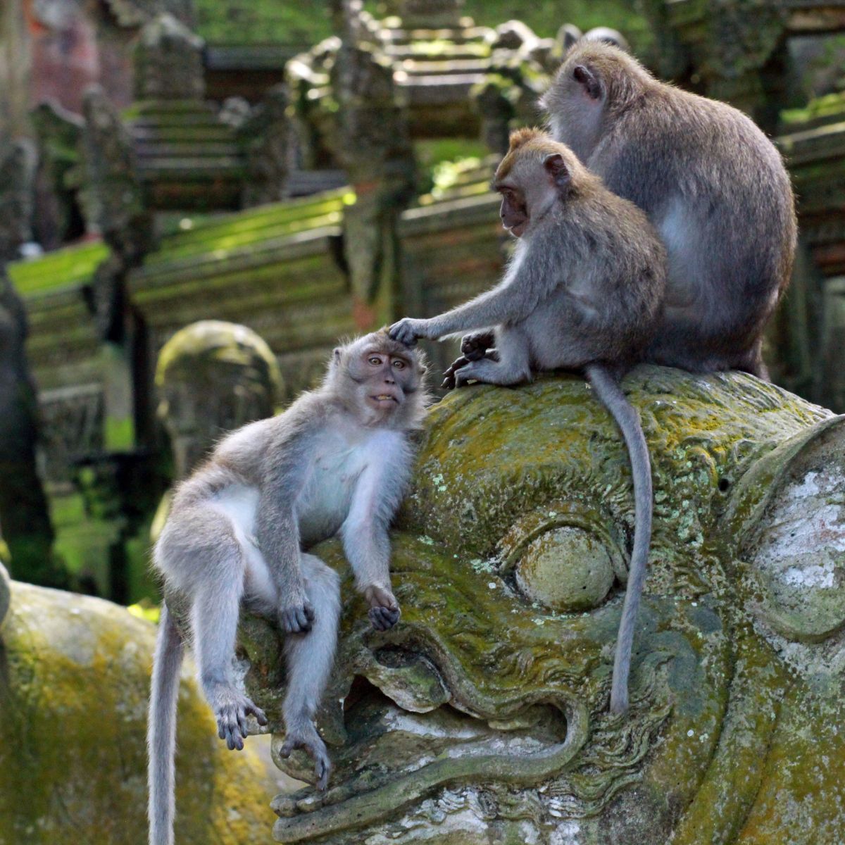 Ubud
