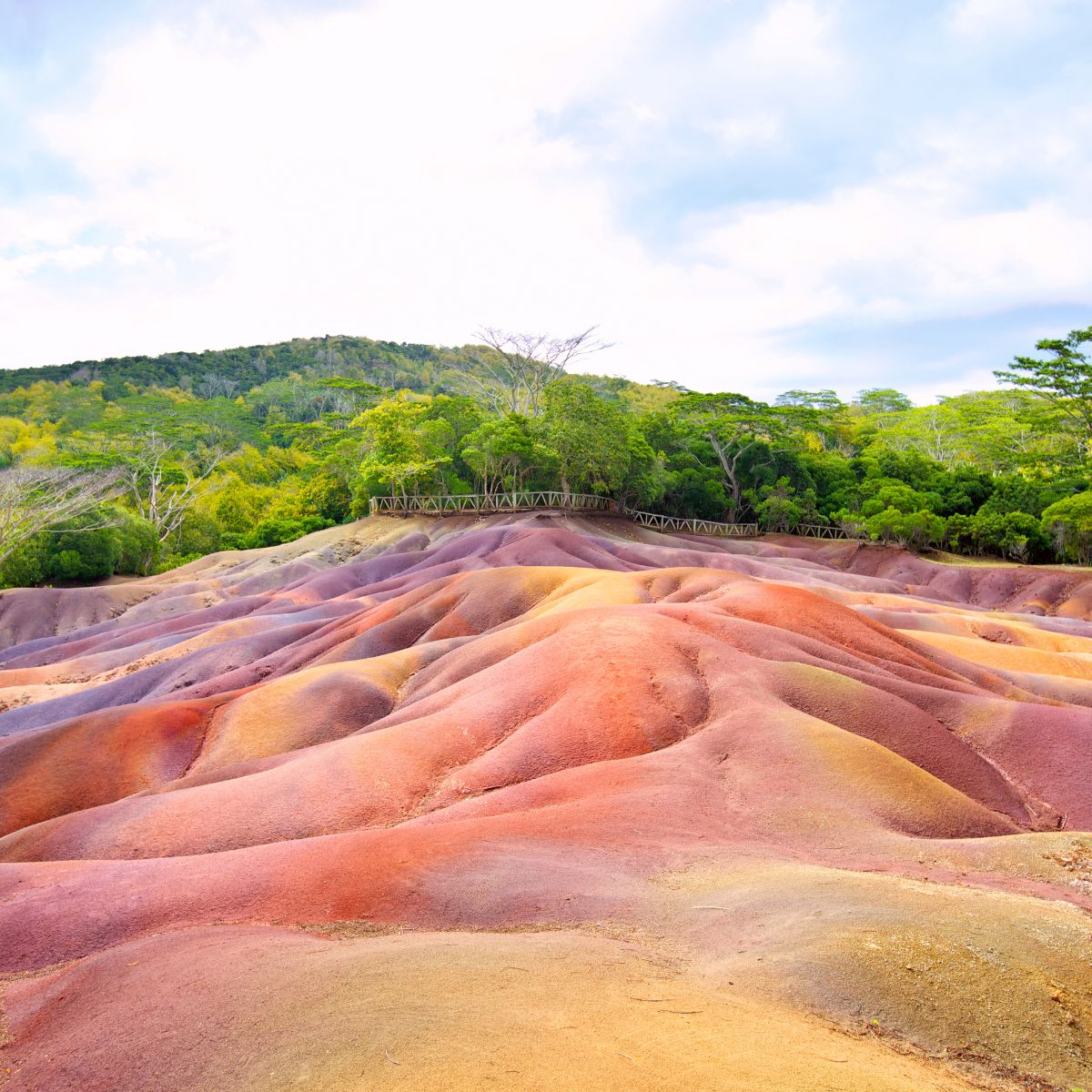 Chamarel y la Tierra de los Siete Colores
