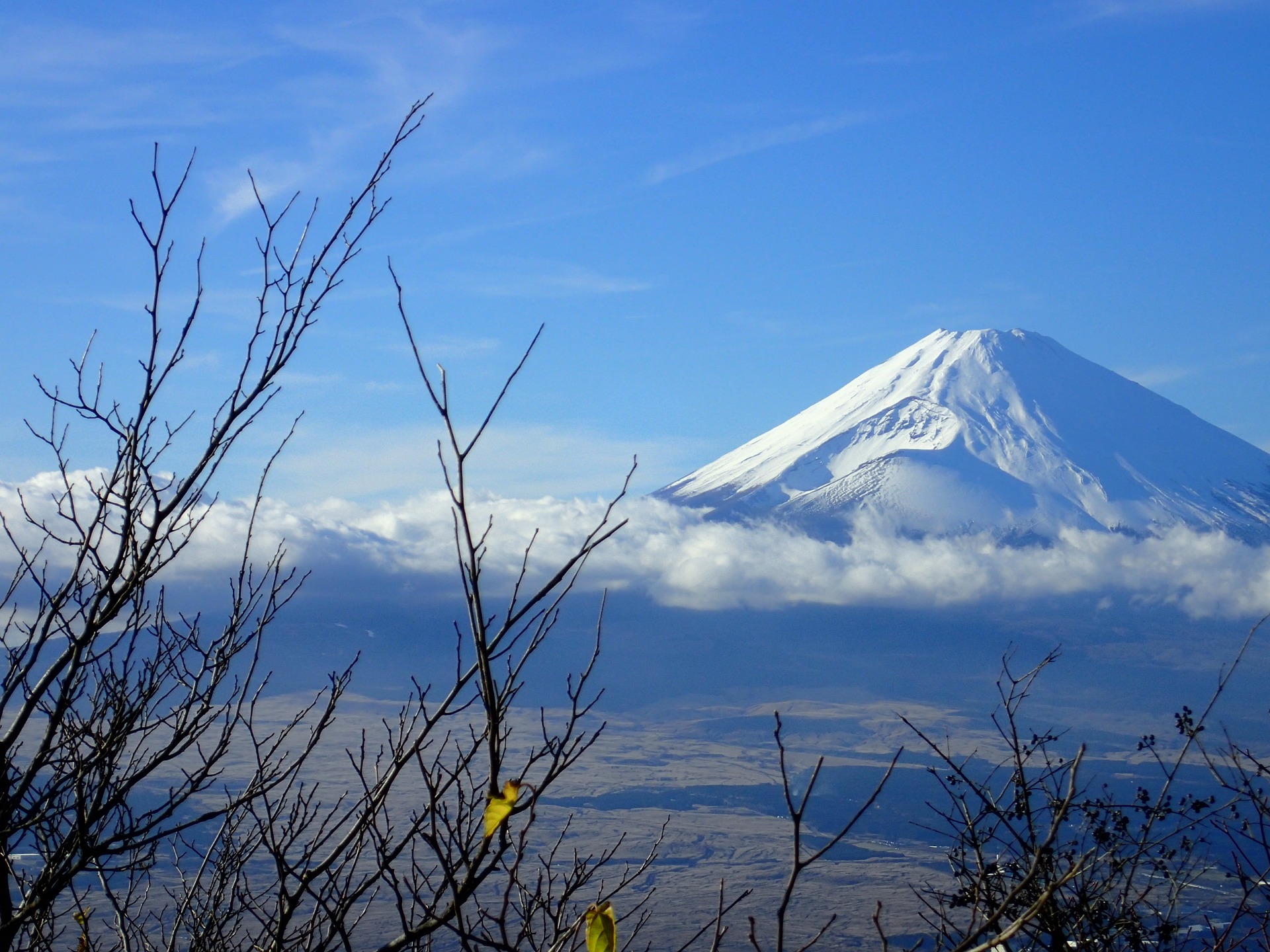 Japon con JRP-Ruta 15D