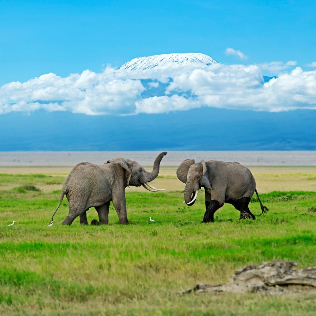 Parque Nacional de los Elefantes