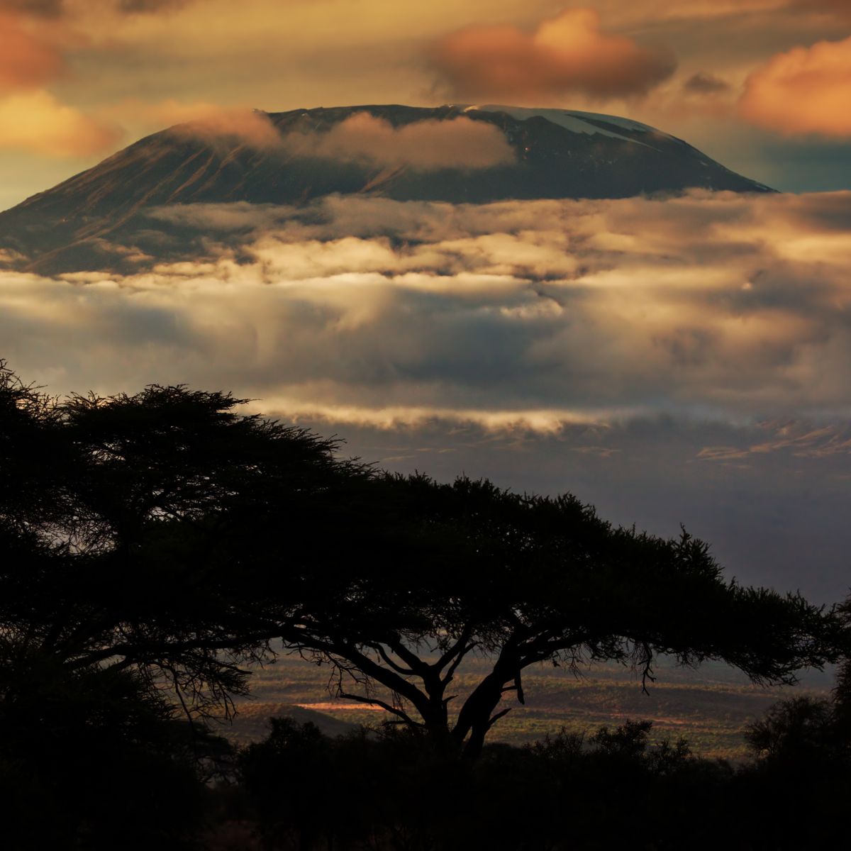 Parque Nacional Kilimanjaro