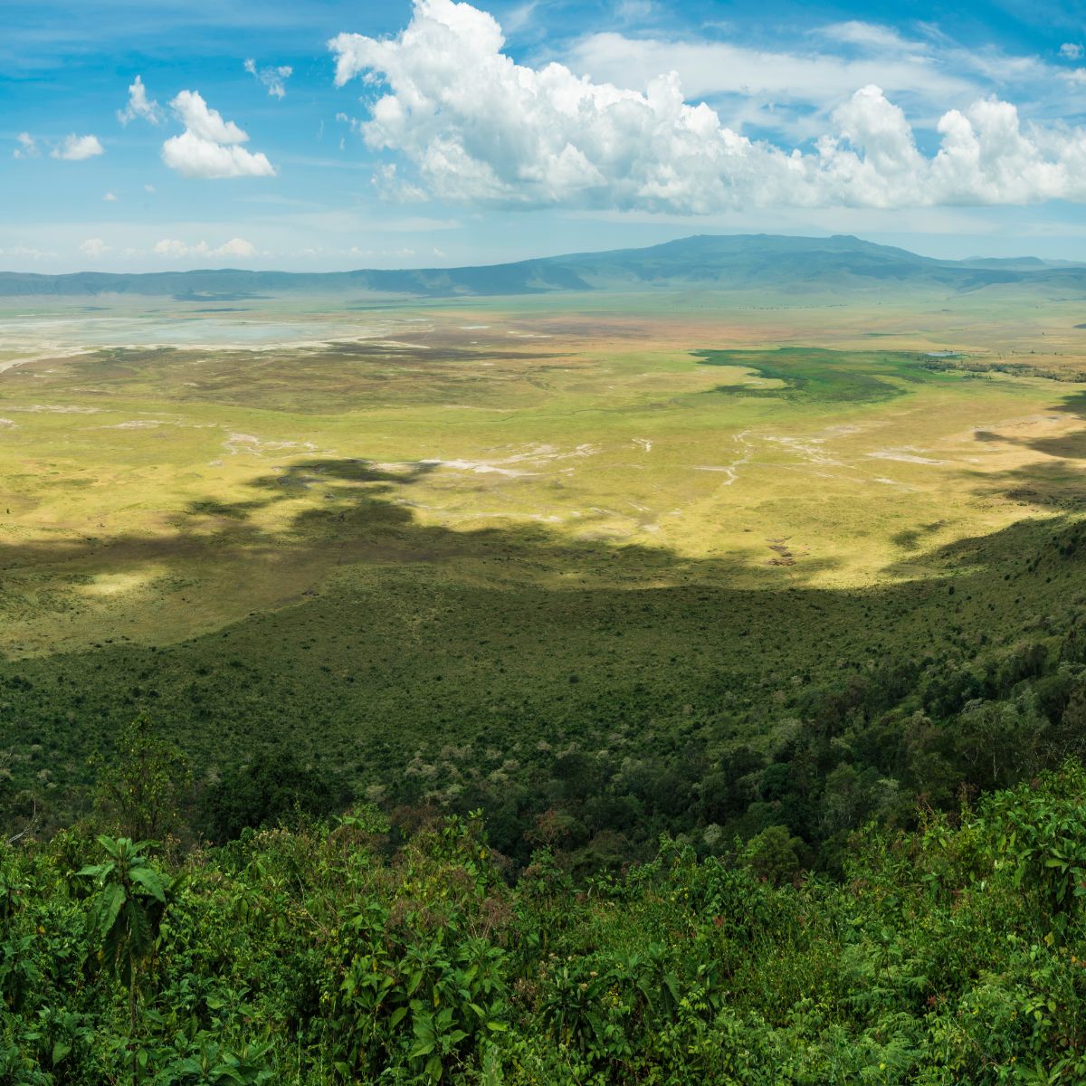 Cráter de Ngorongoro