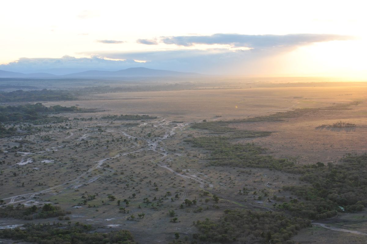 Safari Rafiki en Kenia
