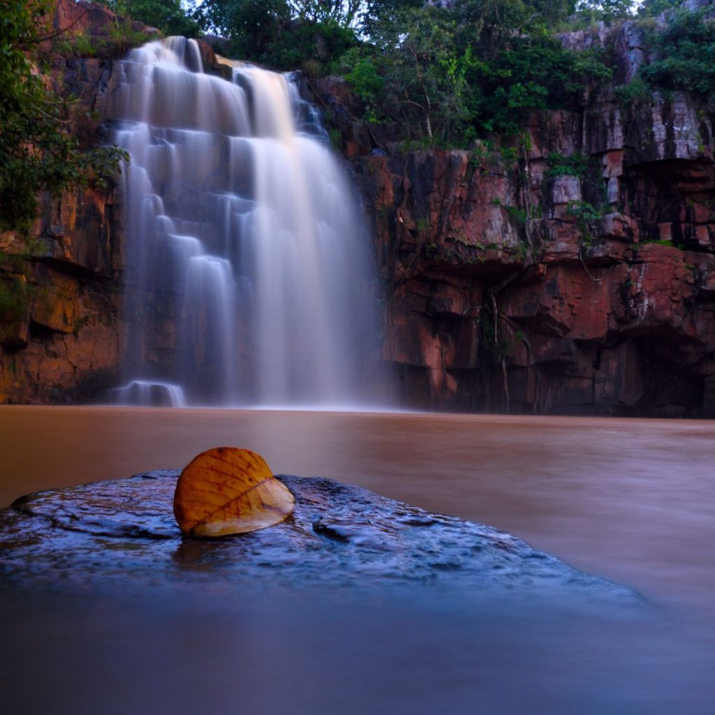 Odisha
