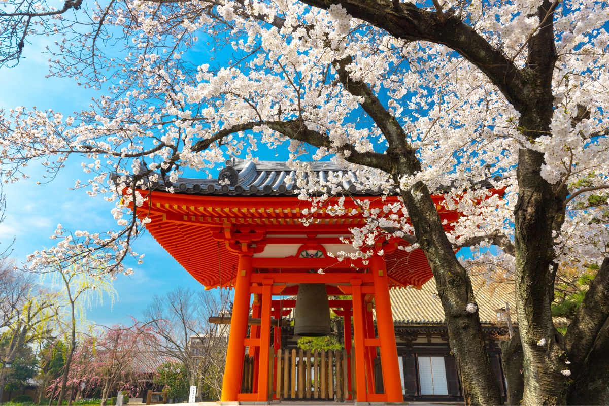 Japón