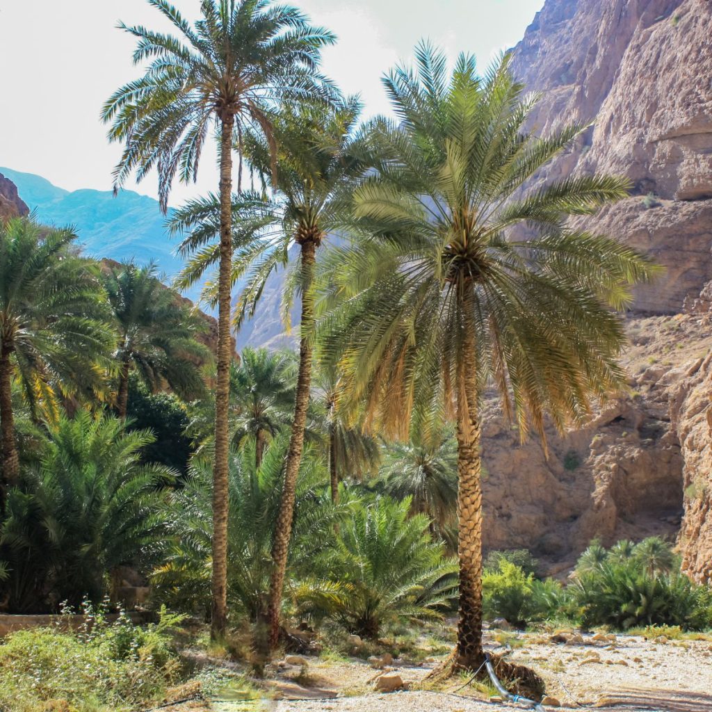 Wadi Shab