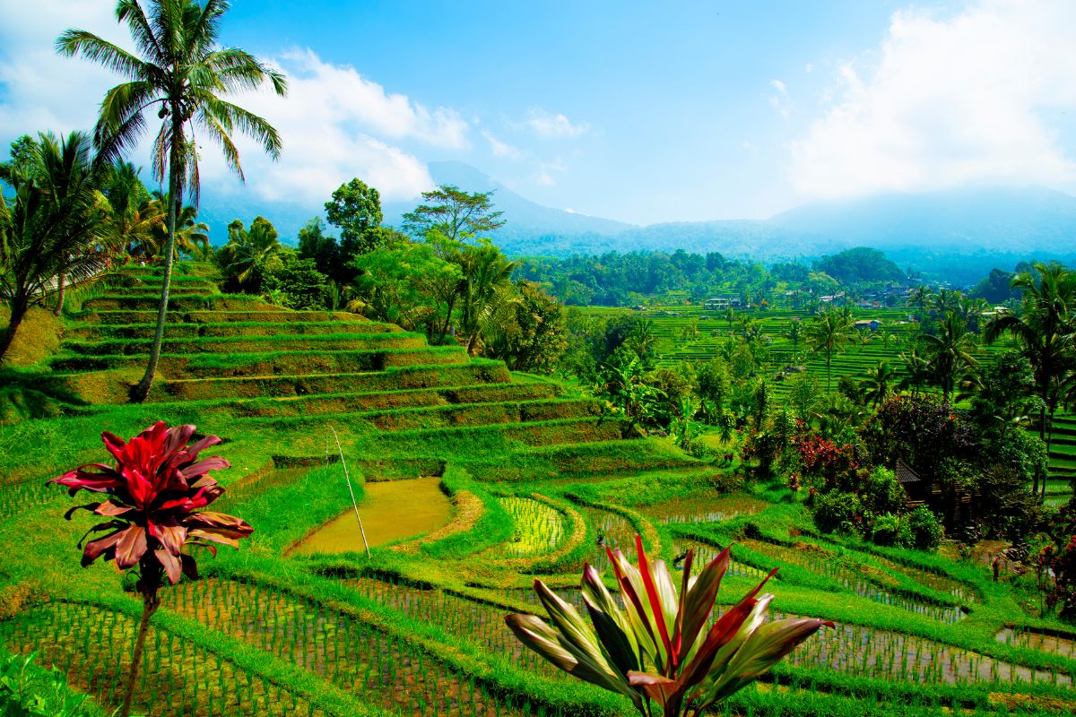 Fantastica Bali & Java