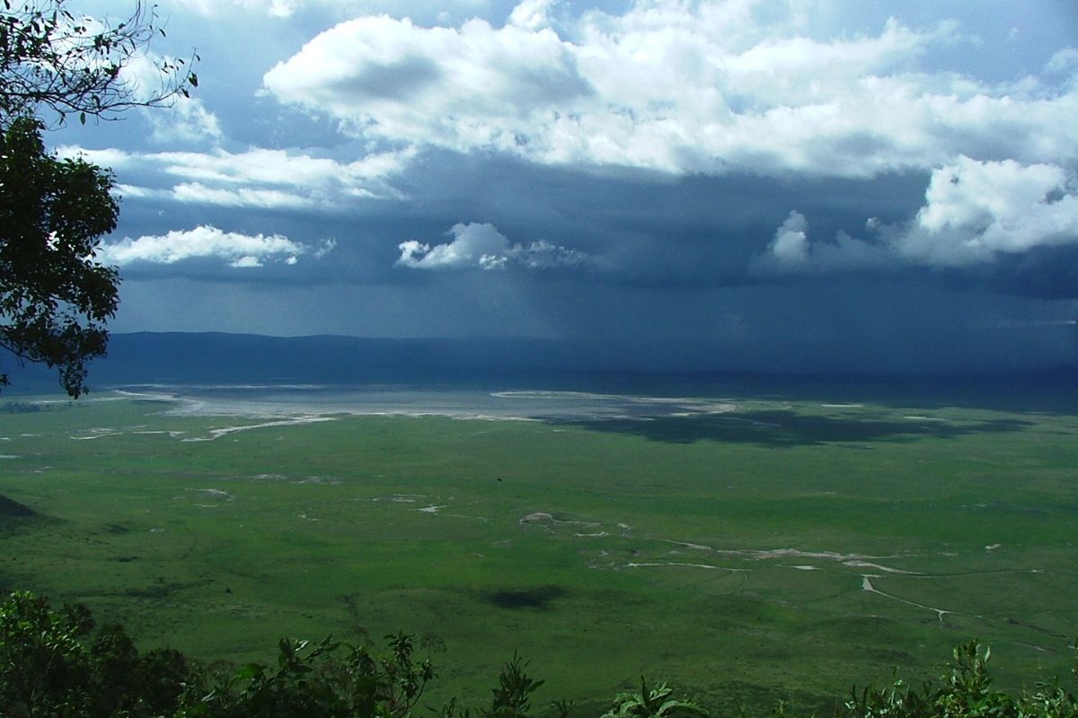 ngorogoro kelly