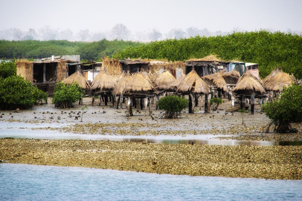 Senegal Auténtico