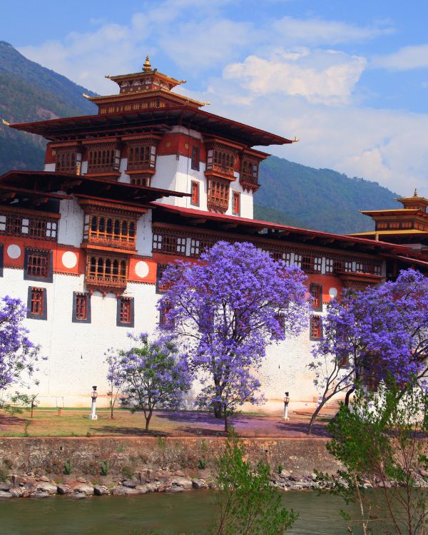 Paro