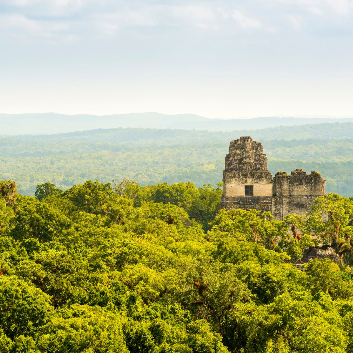 Tikal