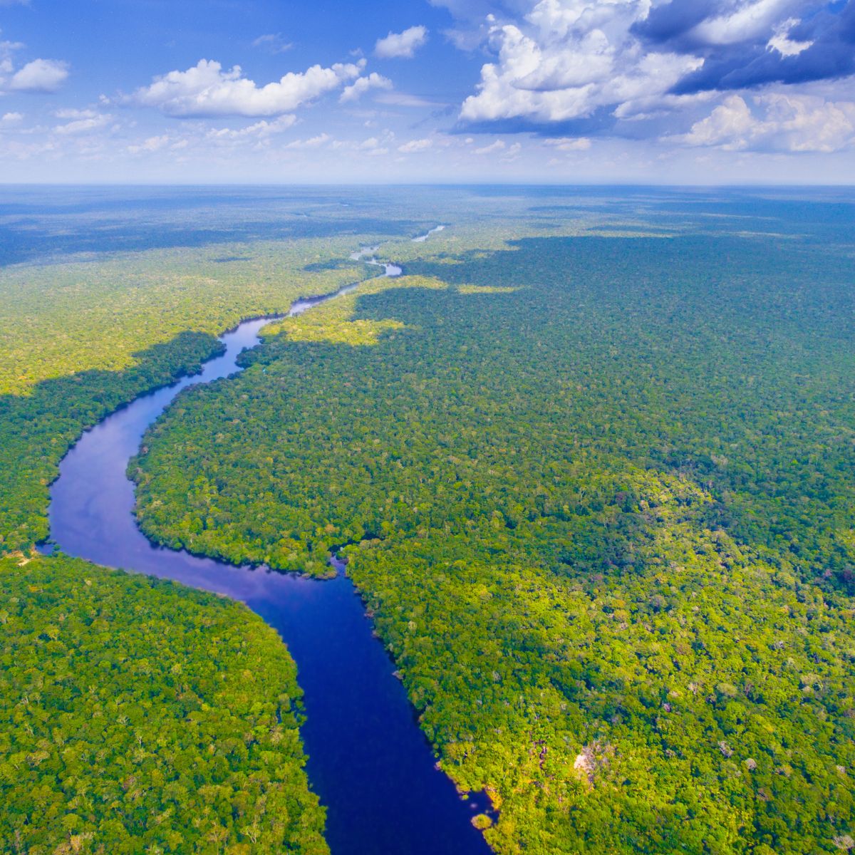 Amazonas Colombiano