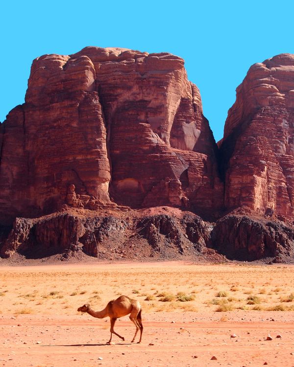 Wadi Rum