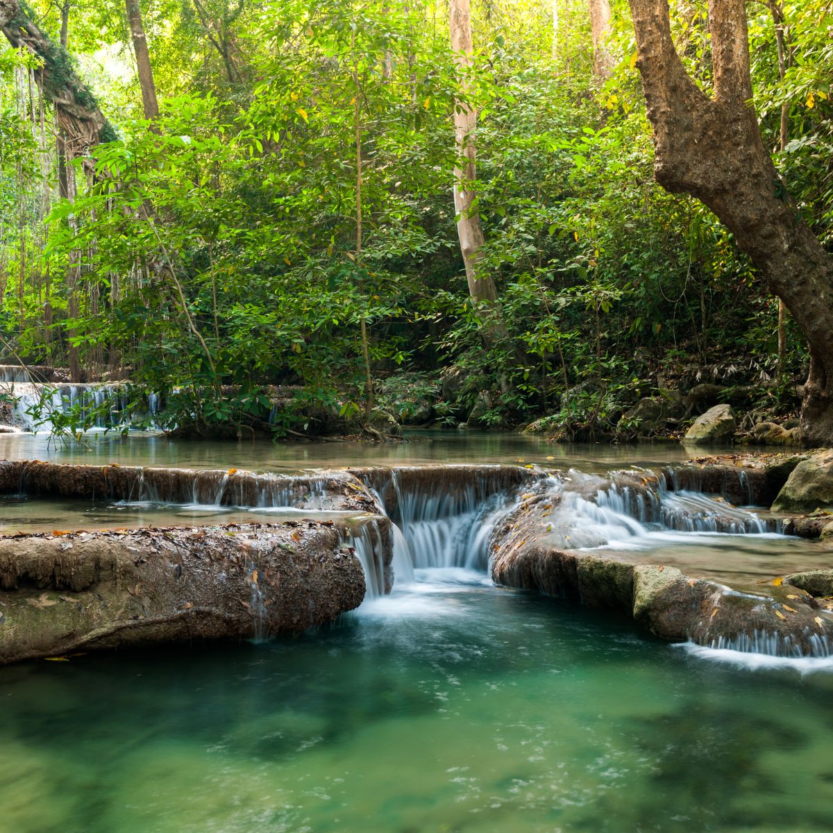 Parque Nacional de Andasibe