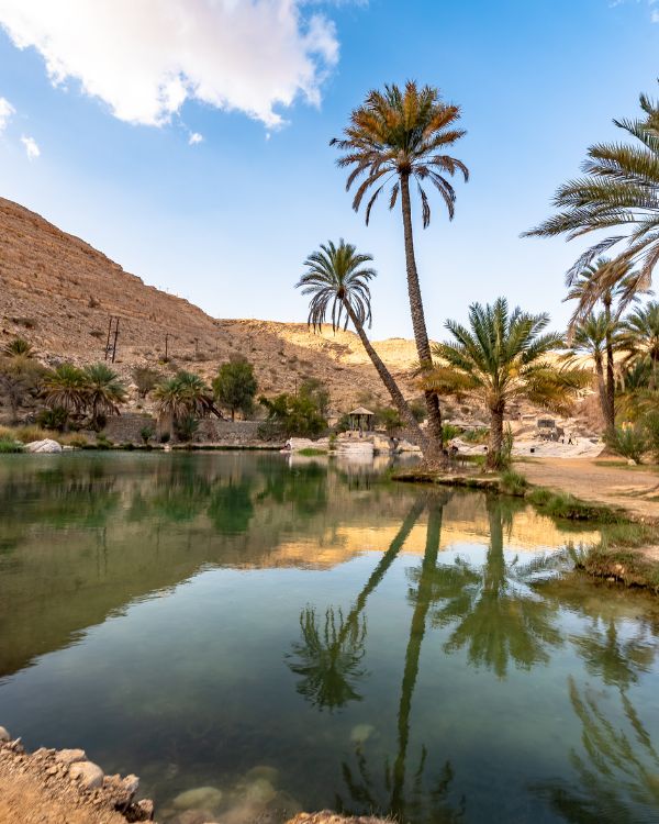 Oasis de Siwa