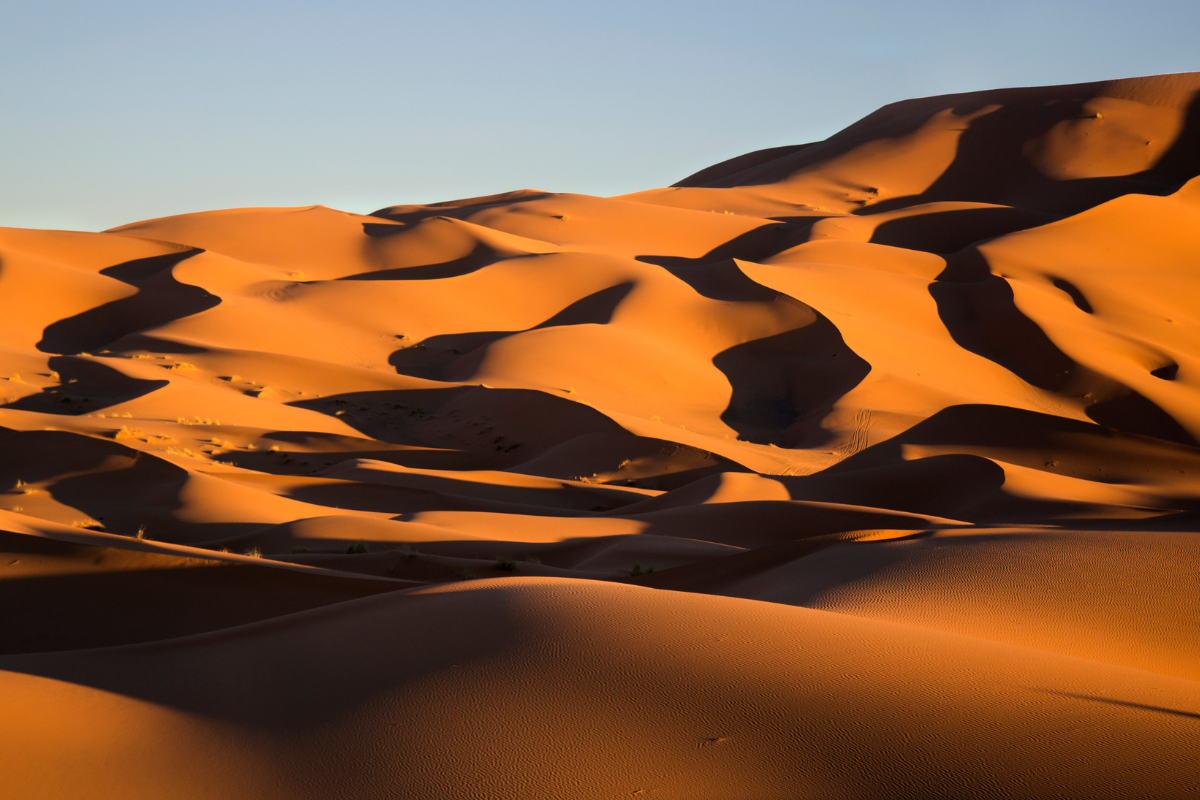 Marruecos Salvaje