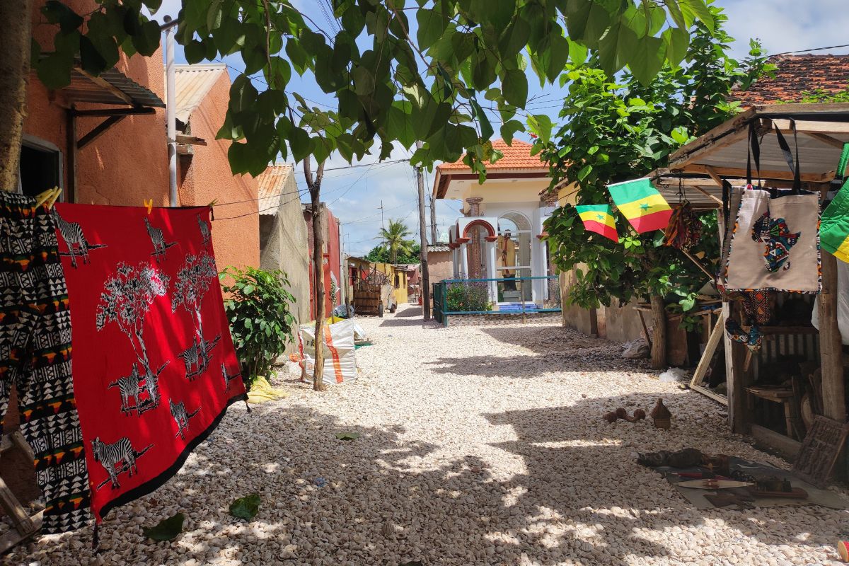 Maravillas de Senegal con Palmarin