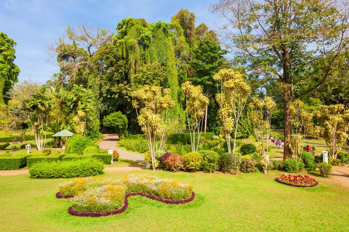 Descubre Sri Lanka