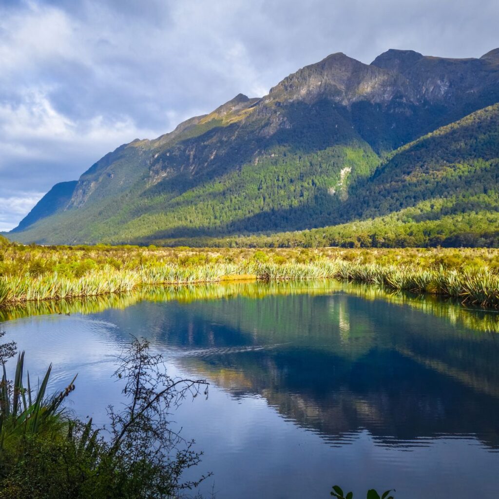 Fiordland y el Sur