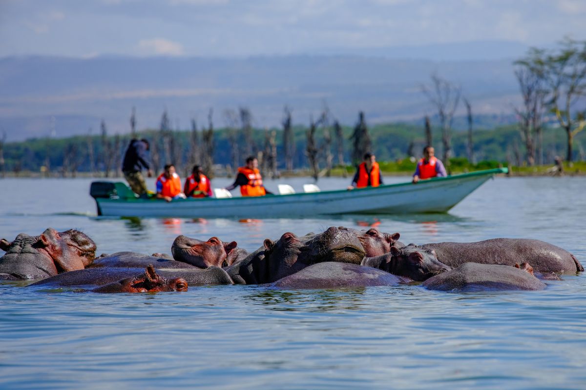 Safari Tembea en Kenia con Zanzibar de lujo