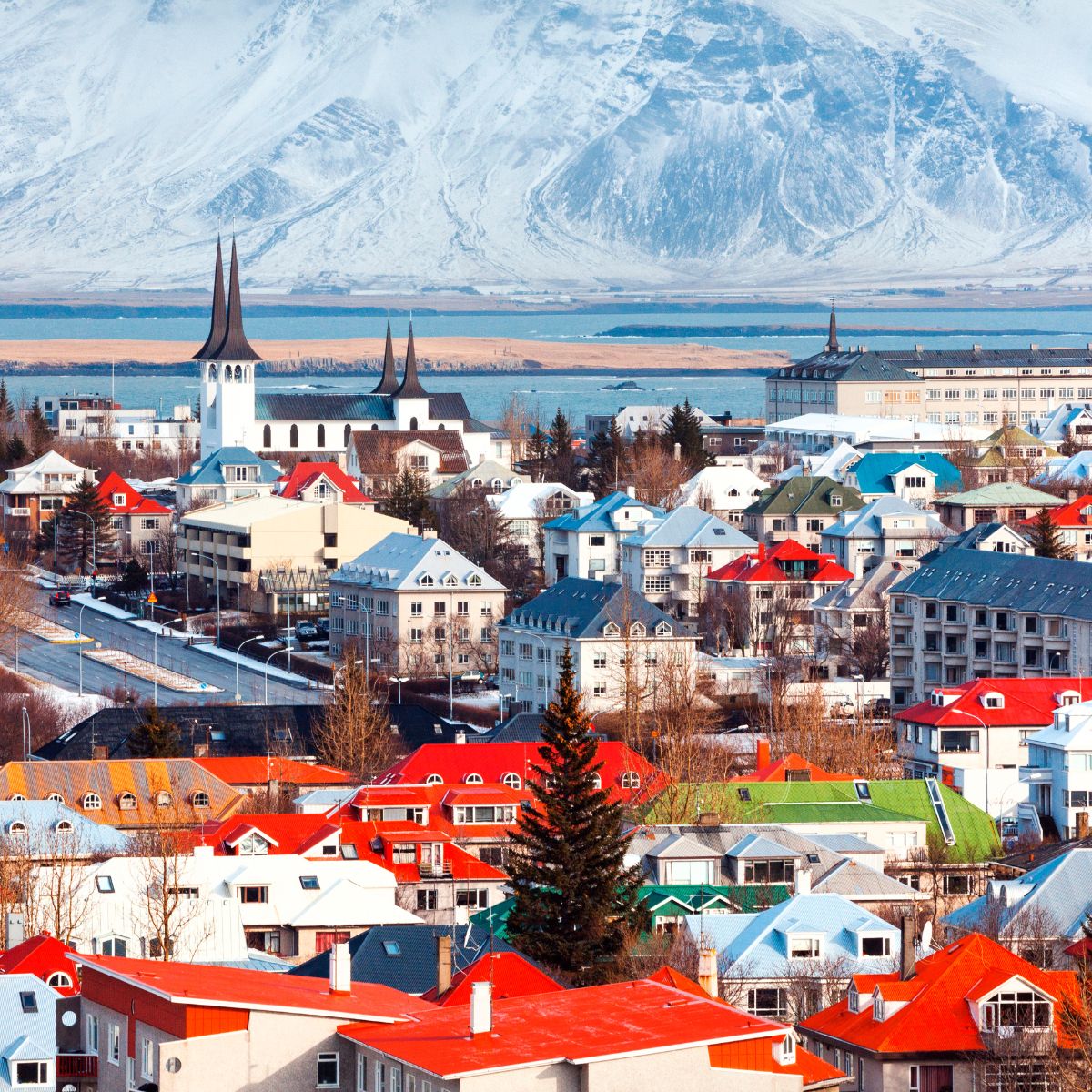Reikiavik